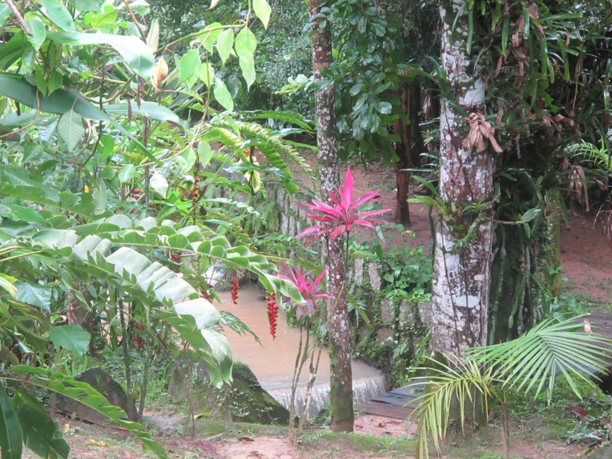Villa Janela Dos Meus Sonhos à Penedo  Extérieur photo