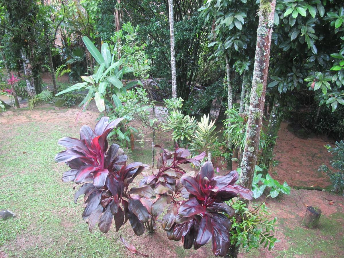 Villa Janela Dos Meus Sonhos à Penedo  Extérieur photo
