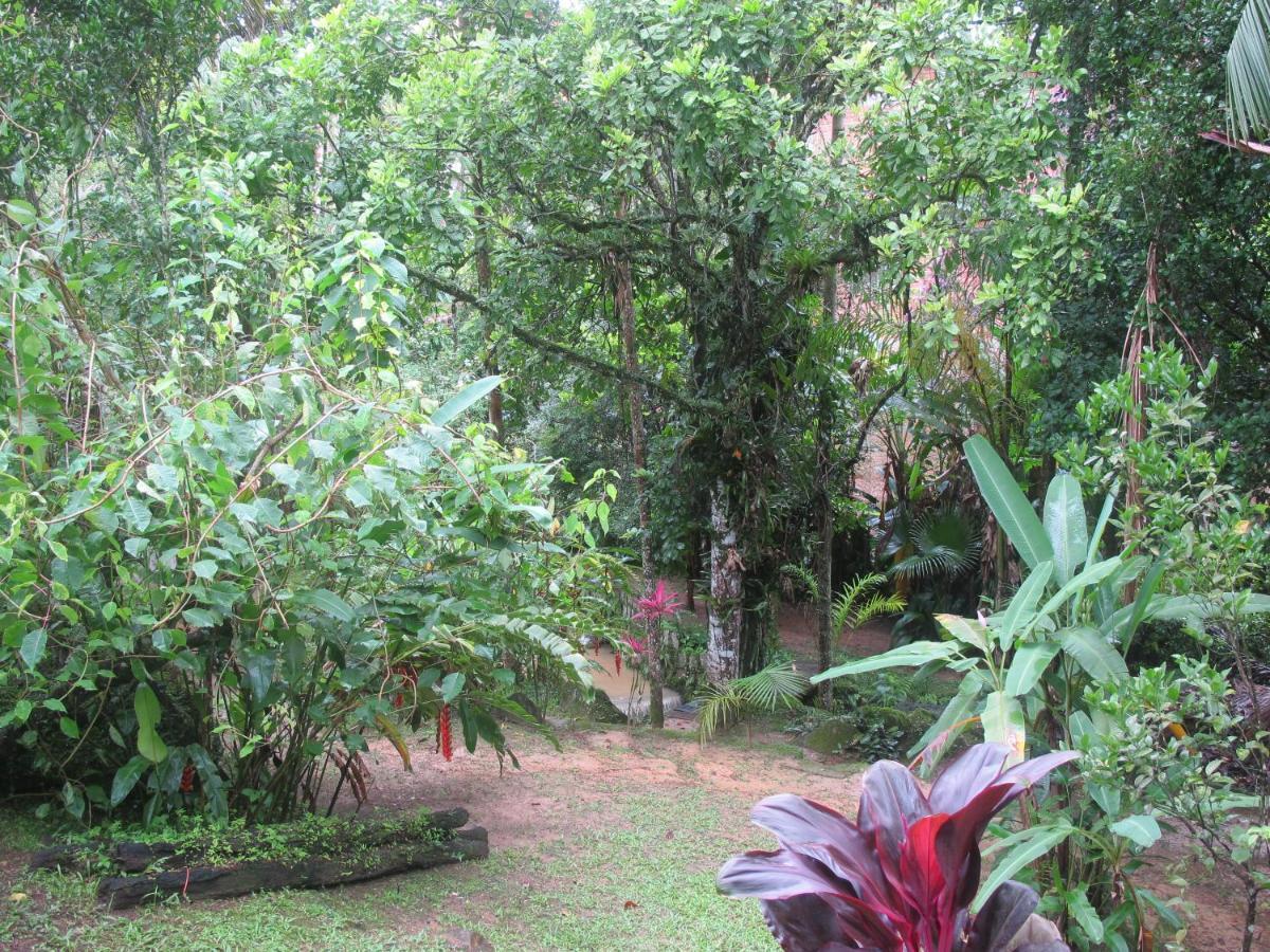 Villa Janela Dos Meus Sonhos à Penedo  Extérieur photo