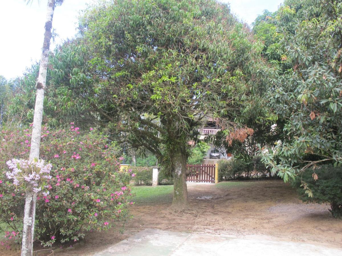 Villa Janela Dos Meus Sonhos à Penedo  Extérieur photo