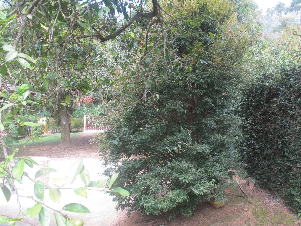 Villa Janela Dos Meus Sonhos à Penedo  Extérieur photo
