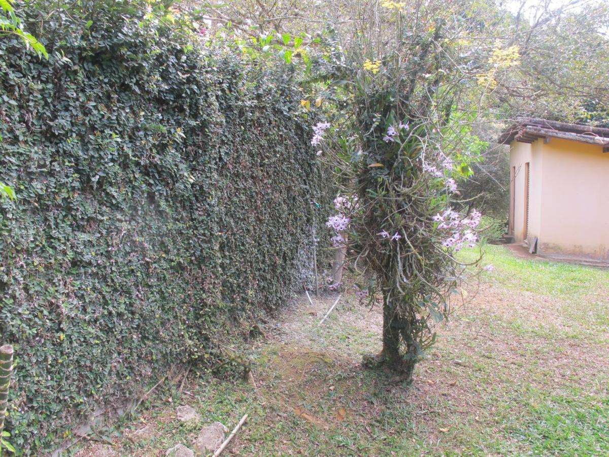 Villa Janela Dos Meus Sonhos à Penedo  Extérieur photo